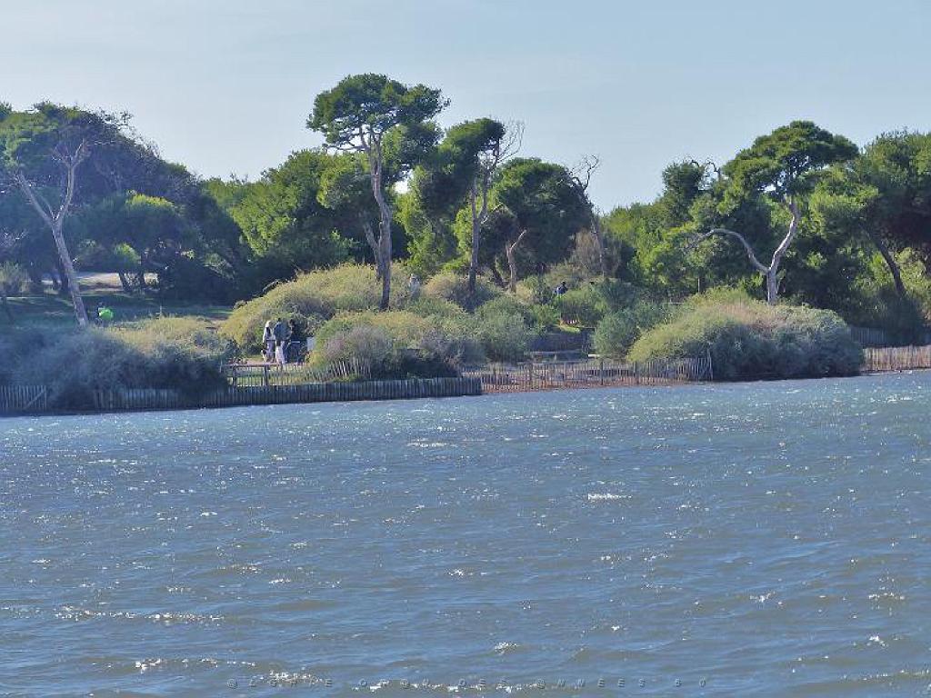 183 D16 BANDOL-1_000062.jpg